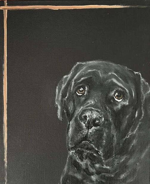 "Murphy in Shadow" "Murphy in Shadow"